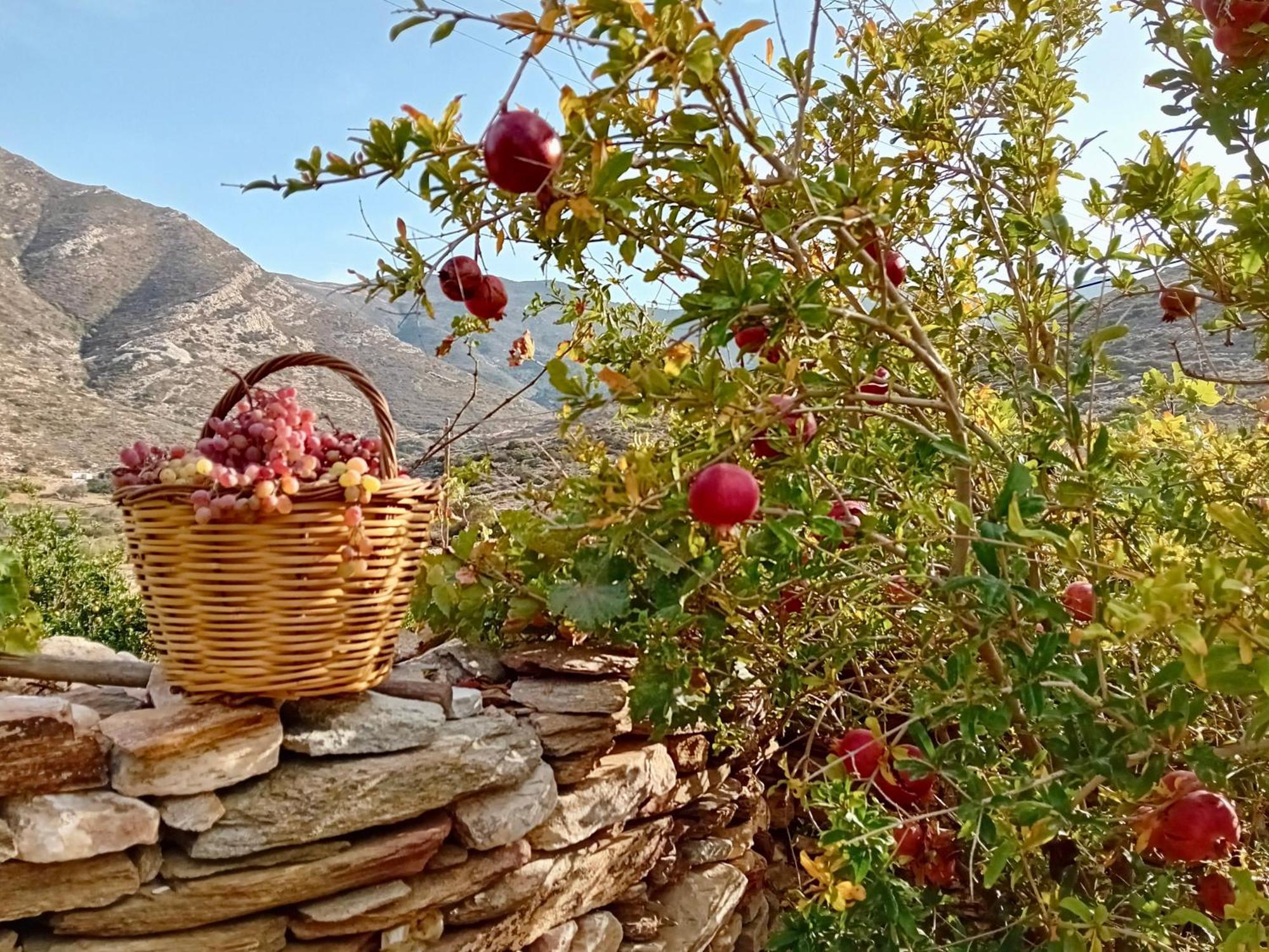The Artists House - Atelier Suite Αγία Θεοδότη Εξωτερικό φωτογραφία